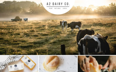 A2 Milk Unveiled: Exploring Its Origins and Health Benefits